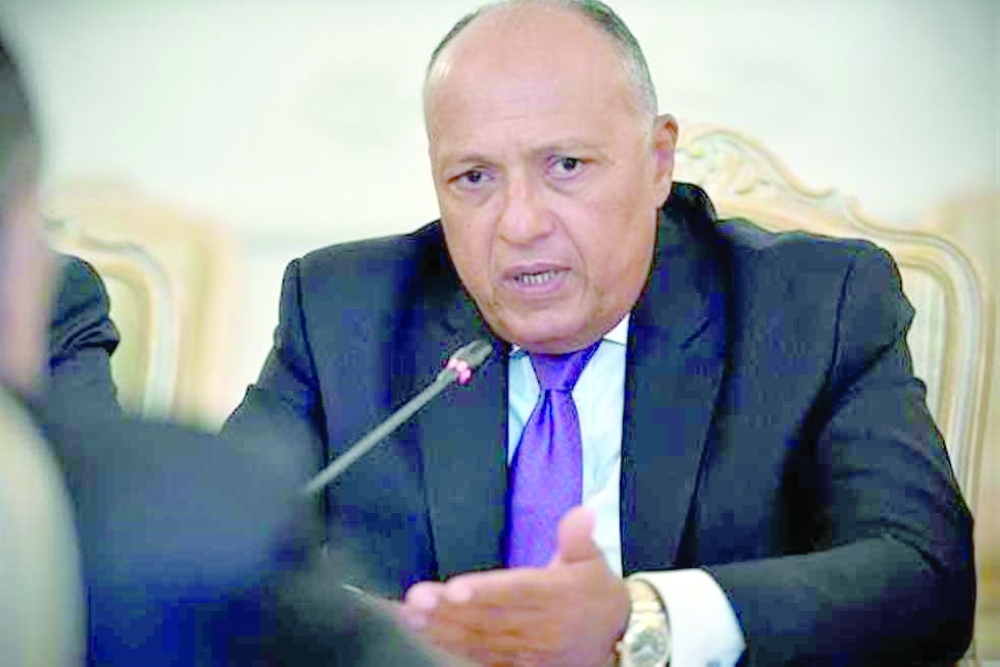 شكري يؤكد أهمية تحويل تعهدات المناخ لواقع ملموس 6 شكري يؤكد أهمية تحويل تعهدات المناخ لواقع ملموس