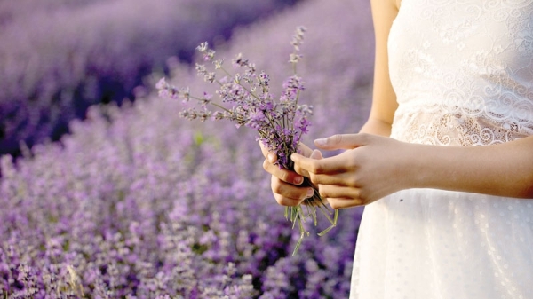 Why ‘September Is the New May’ When It Comes to Planting Flowers