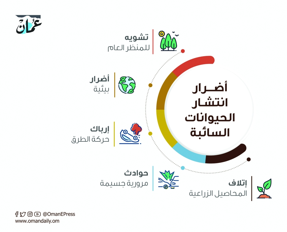 الحيوانات السائبة.. ظاهرة تقلق الراحة العامة وتشوه المنظر الحضاري بمسقط