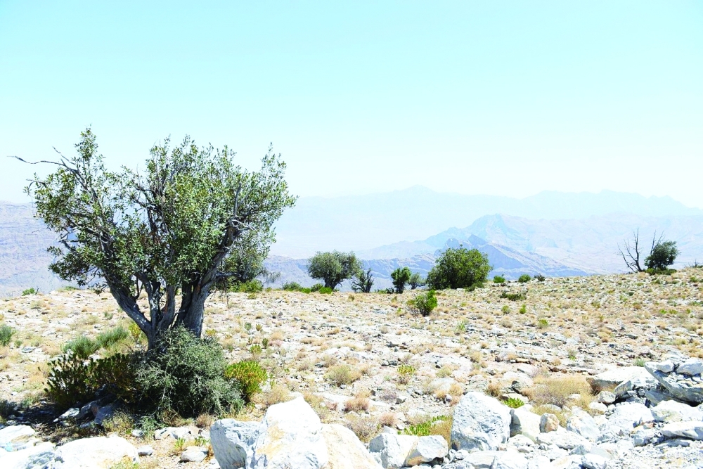 “هيئة البيئة” تُفعّل 35 محطة وتركب 100 جهاز رصد لانبعاثات الهواء