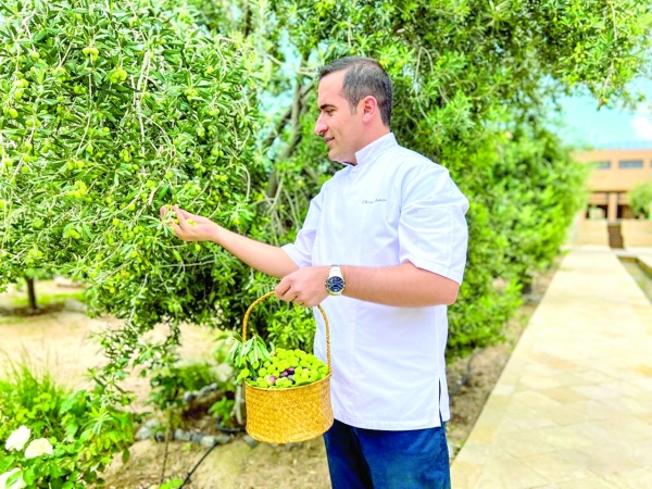 Al Jabal Al Akhdhar to celebrate first olive harvest festival