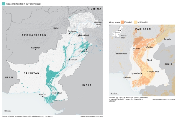 Pakistan faces looming food crisis