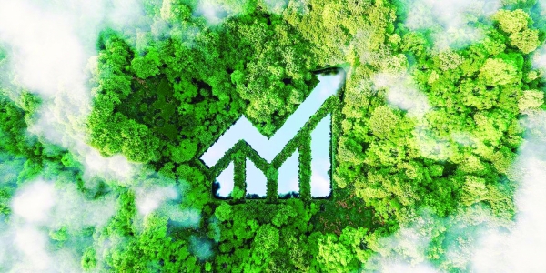 Governance for a healthy economy