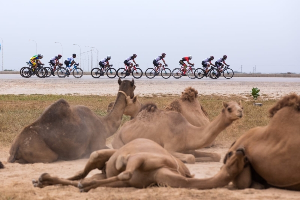 Mayouf claims stage 2 of Tour of Salalah