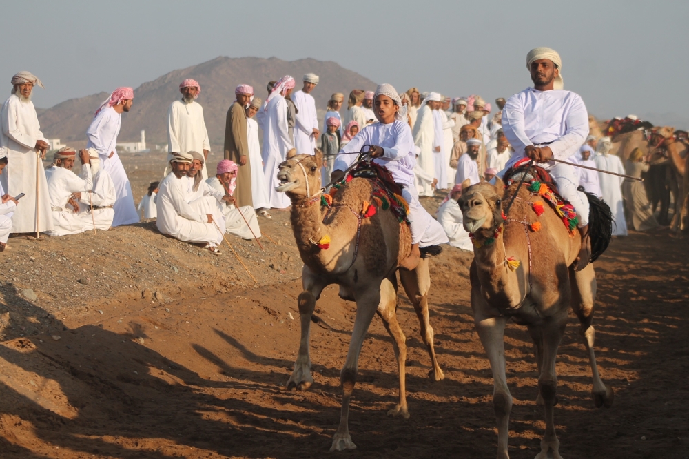 16 فعالية في روزنامة سباقات عرضة الهجن ببدية