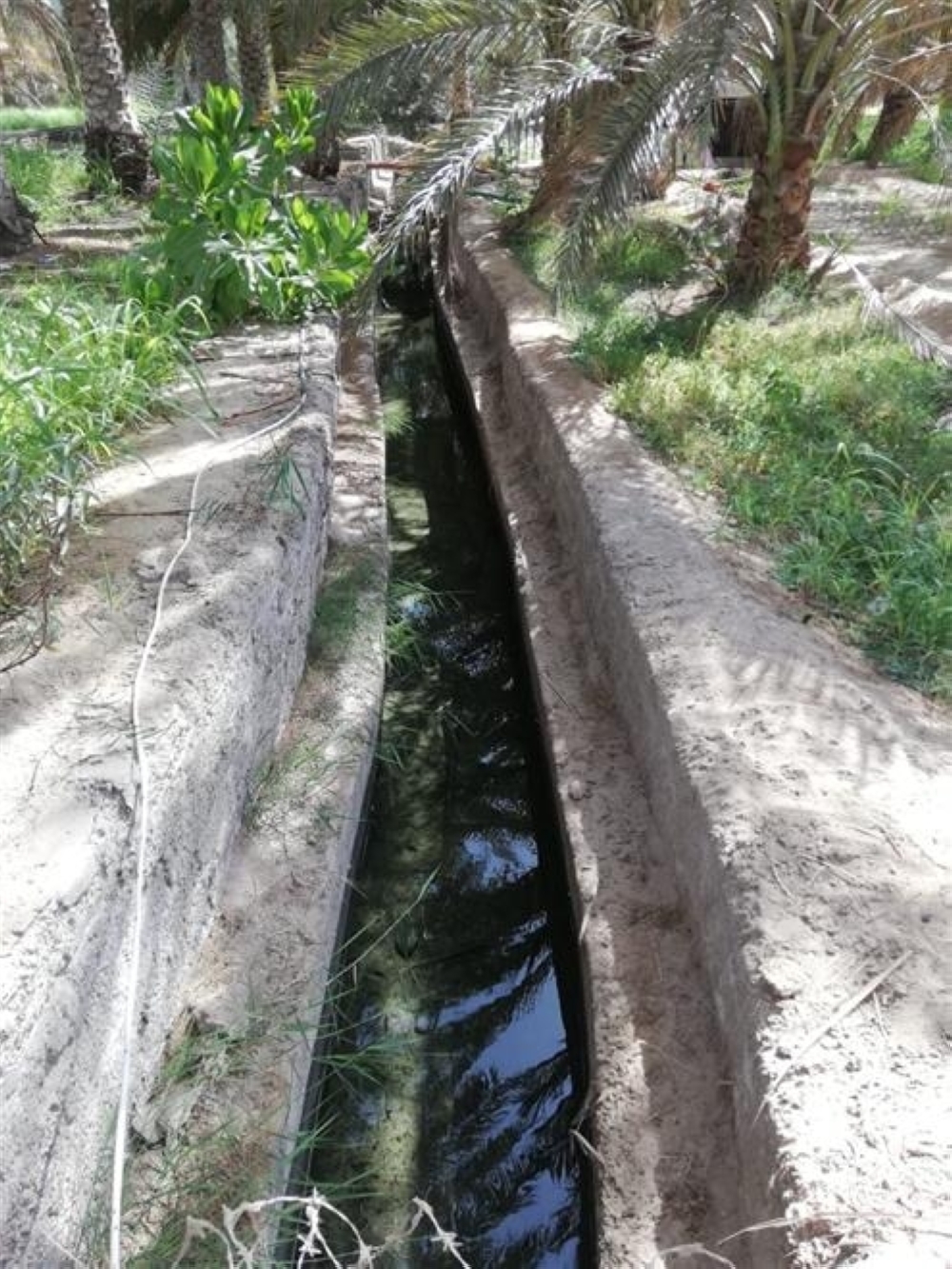 إصلاح وصيانة 66 فلجا في شمال وجنوب الشرقية