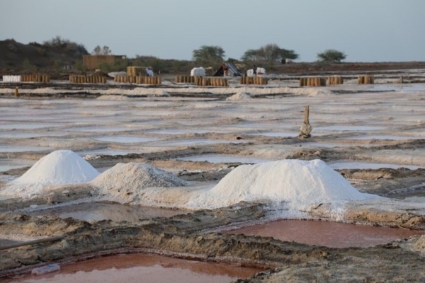 Khor Al Milh where tradition taste of salt