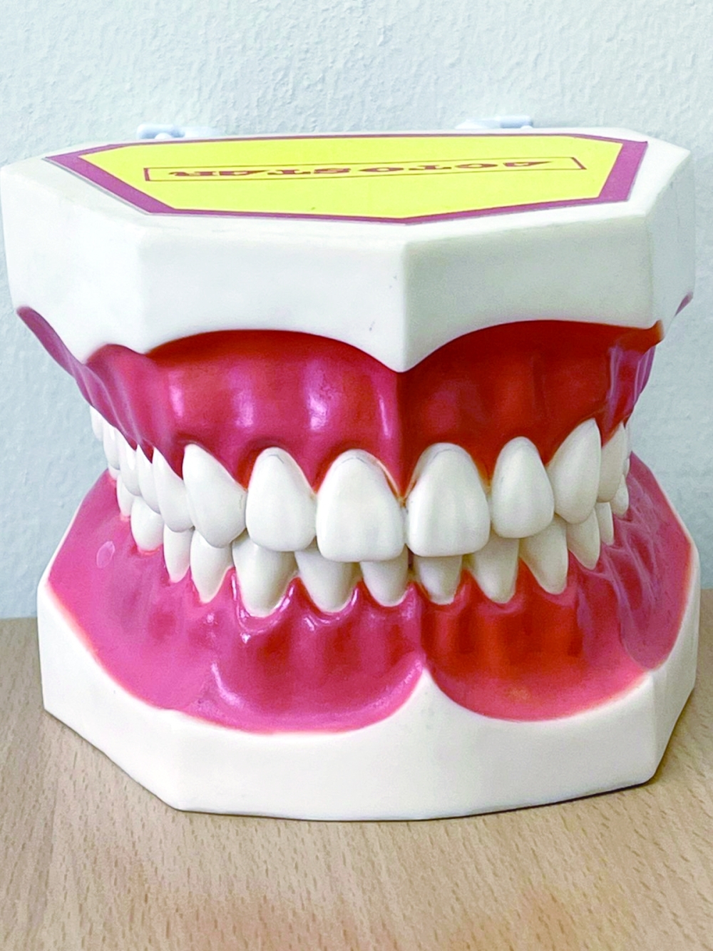 البكتيريا.. المسبب الأول لالتهابات الأسنان وجلسة علاج العصب تستغرق 90 دقيقة