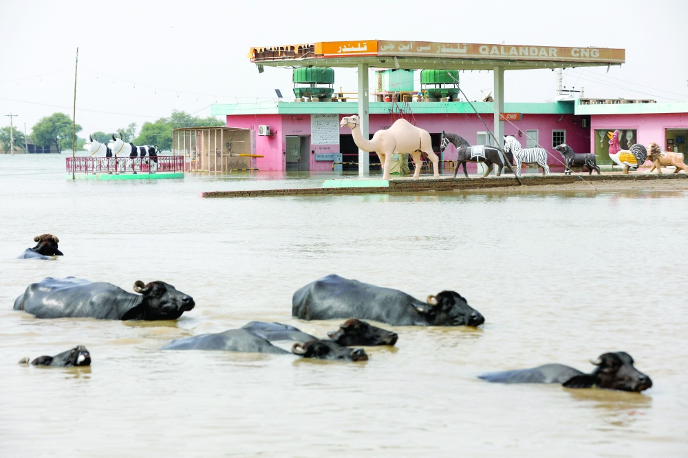 أزمة المناخ زادت من شدة “الجوع الحاد” في الدول الأكثر عرضة للكوارث