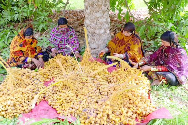 LEAD Oman strong in food security and safety measures