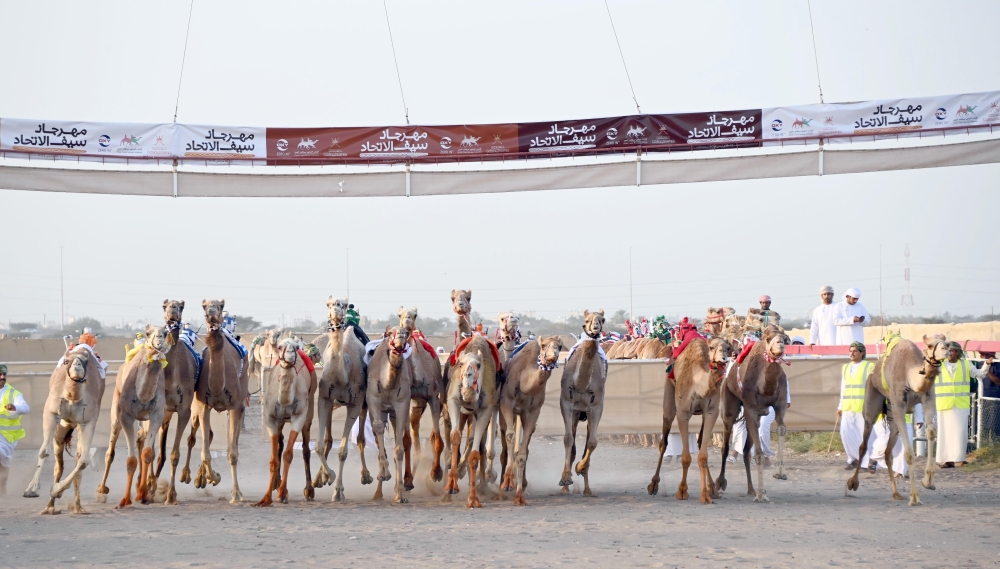 الثقافة والرياضة تُقدم دعمًا ماليًّا لميادين الهجن في جميع المحافظات