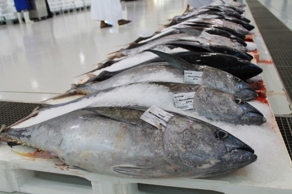 Oman Fisheries inks pact with Al Wusta Fisheries Industries