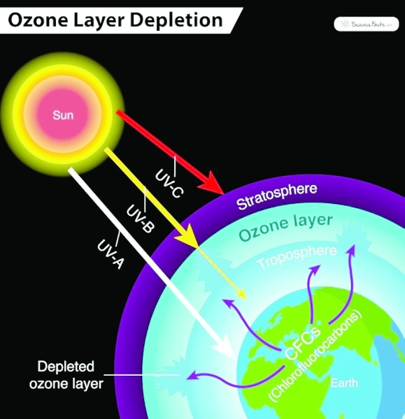 Oman in third stage of phasing-out HCFC project: CAA