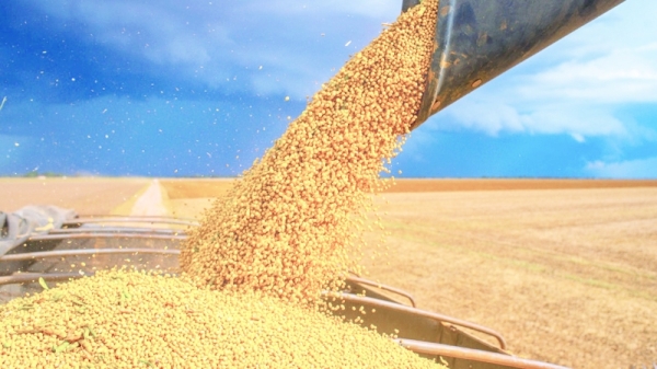 Commodities drop on the darkening growth outlook