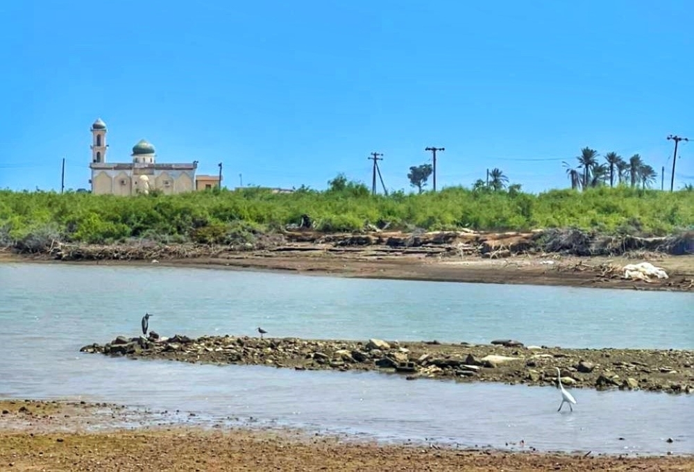 تنفيذ المسح الإيكولوجي للأخوار بشمال الباطنة