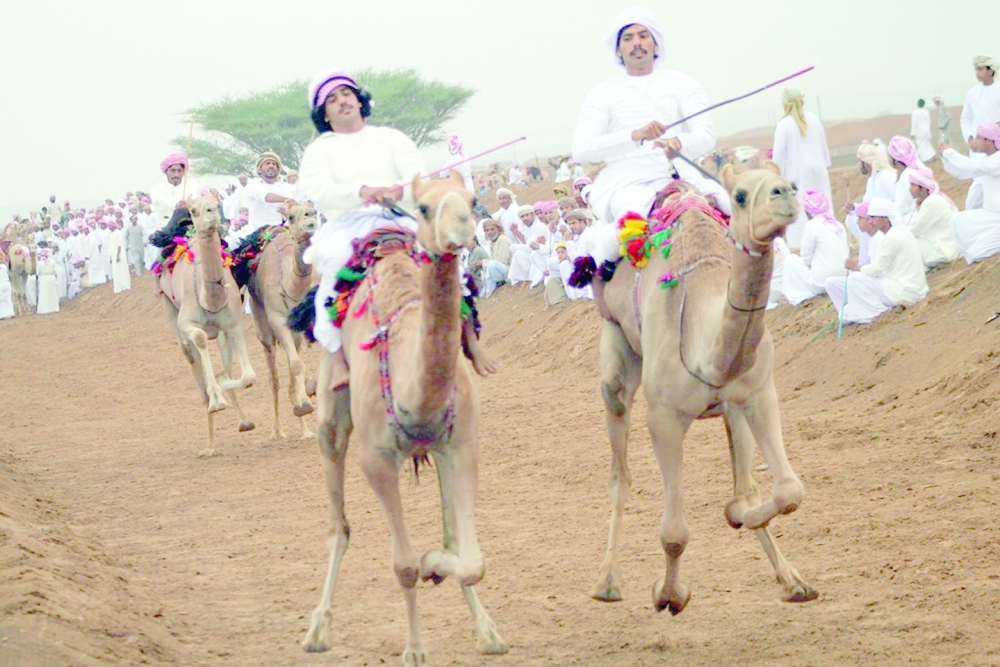 200 ناقة تفتتح موسم سباقات عرضة الهجن ببدية