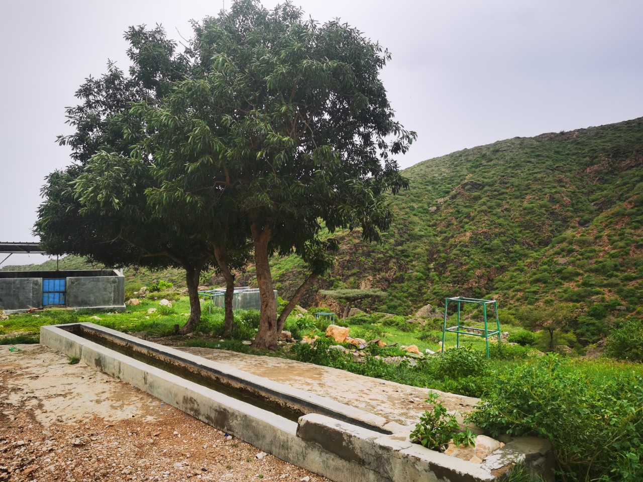 "عين ماء شيروخ" إحدى أهم العيون المائيّة في ولاية سدح 2 6326c1c4dd2d2