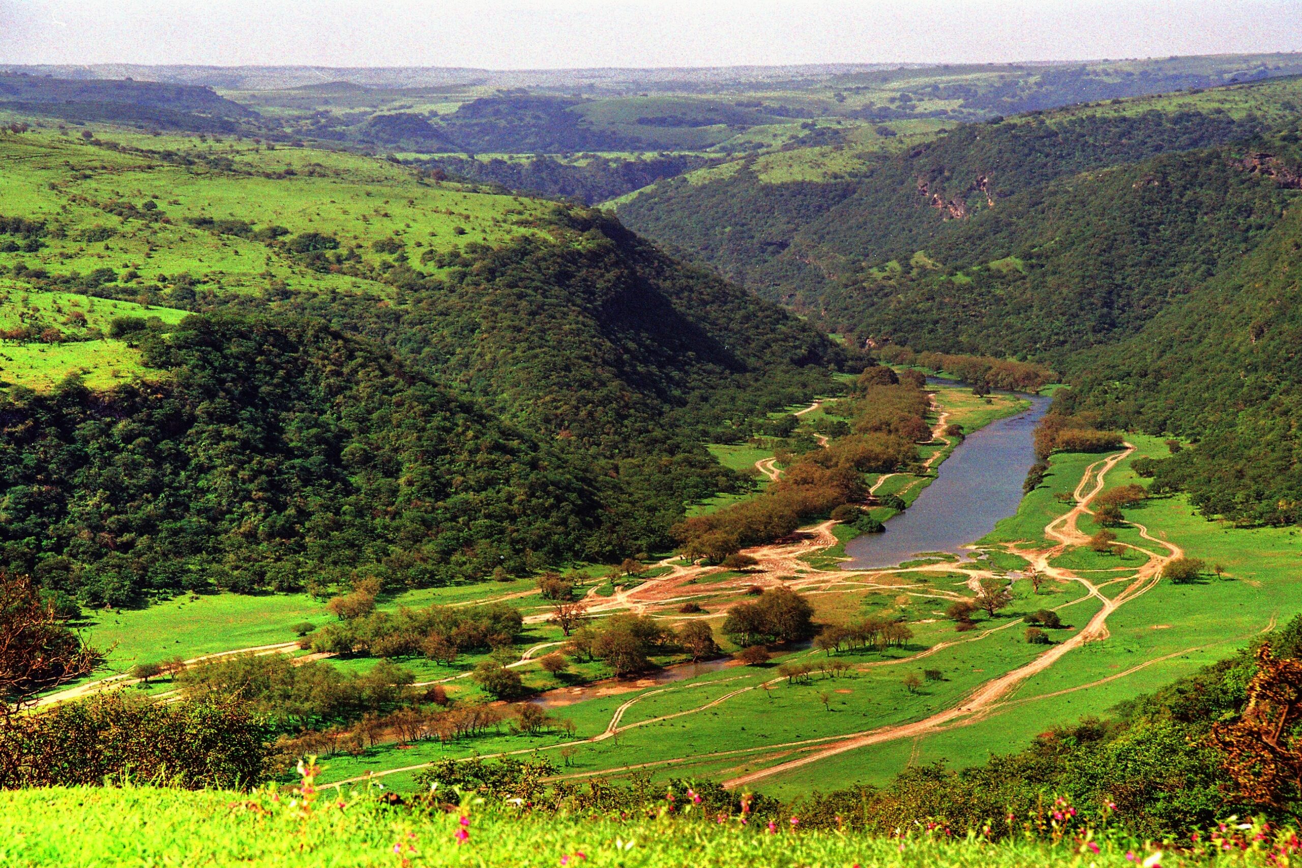 وزارة التراث والسياحة تحتفل باليوم العالمي للسياحة