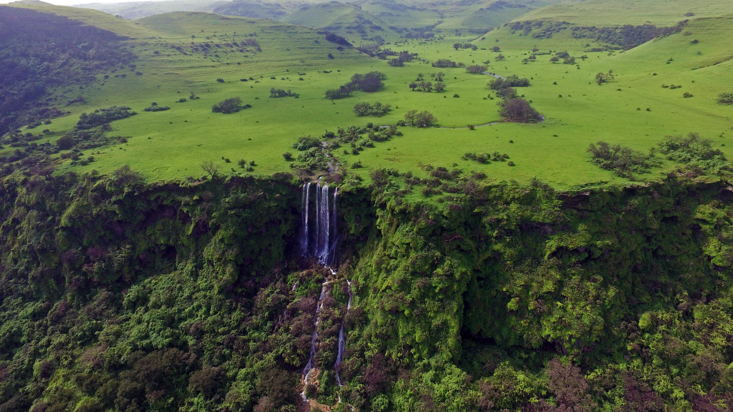 633177e1cb299 scaled