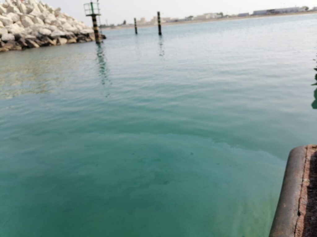 مركز البيئة بالسويق يستجيب لبلاغ افاد بتلوث مياه البحر بالخابورة 3 IMG 20220921 WA0002