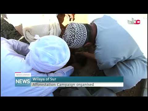 Wilaya of Sur Afforestation Campaign organised