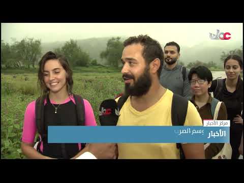 موسم الصرب في محافظة ظفار يستقطب السياح