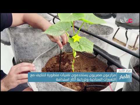 مشاريع متنوعة للأفراد والمؤسسات حول العالم أسهمت في الحد من ظاهرة التغير المناخي.