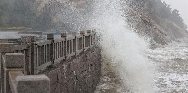 الإعصار “مويفا” يضرب مدينة شنغهاي الصينية