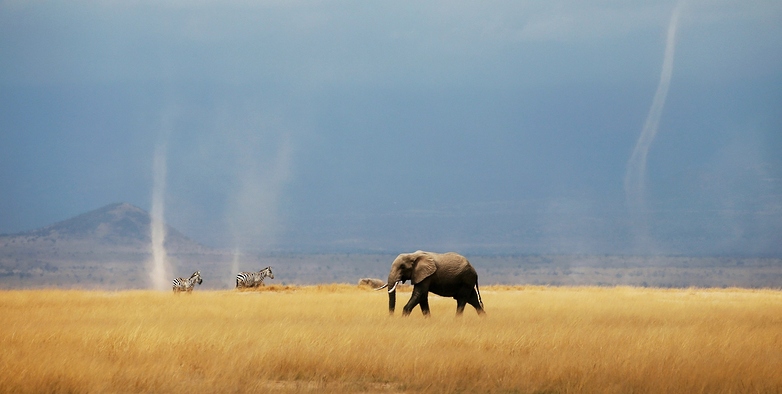 منظمة عالمية: أفريقيا بحاجة إلى استثمارات لمواجهة التهديدات المناخية