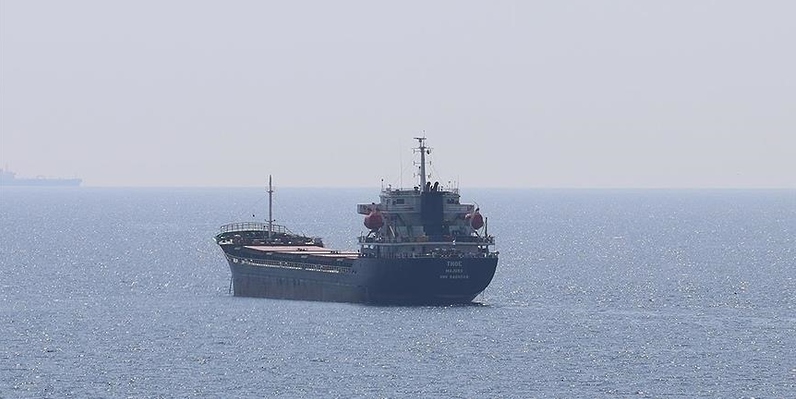 انطلاق 12 سفينة حبوب من موانئ أوكرانيا