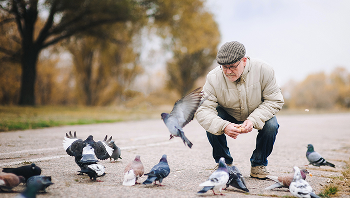 If you’re feeling stressed and anxious, feed the birds