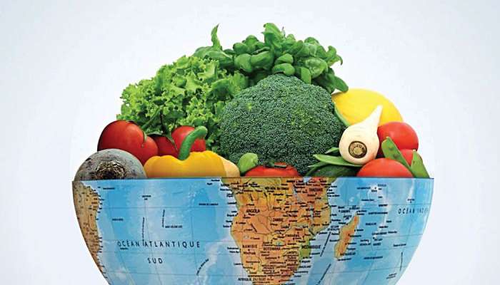 Research maps out environmental footprint of food