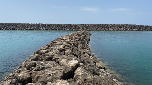 Bid invited for management, development of Dhalkut Port