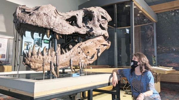What caused holes in Sue the T. rex’s jawbone? Scientists are stumped