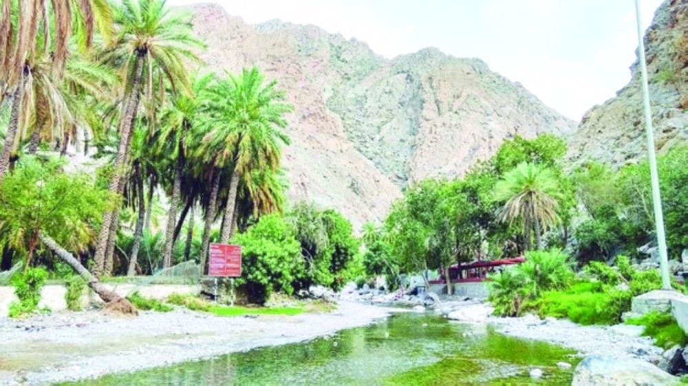 تطوير عين “الثوارة” بمرافق خدمية وترفيهية