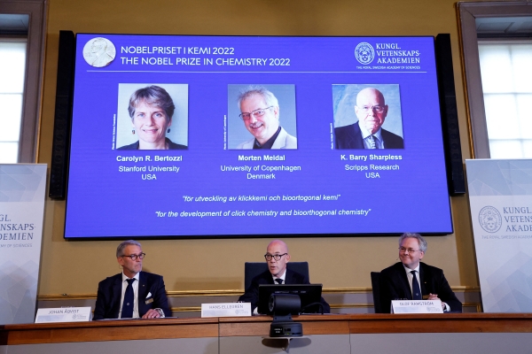 Nobel prize goes to pioneers of Lego-like “click chemistry”