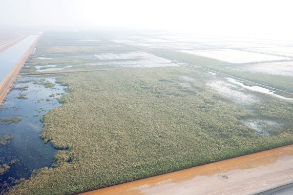 PDO produced water output to surpass 1.1 million m3/day