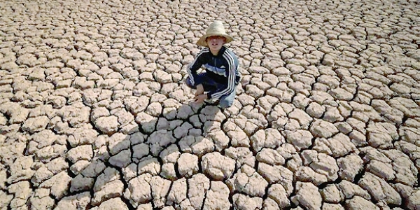 Climate change made 2022 drought 'at least 20 times likelier'