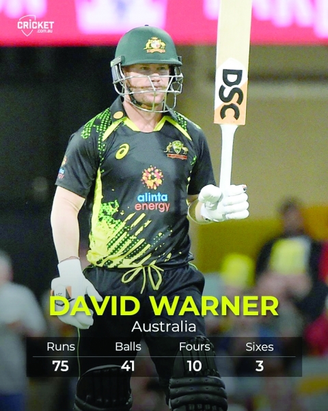 Warner, Starc shine as Aussies take series
