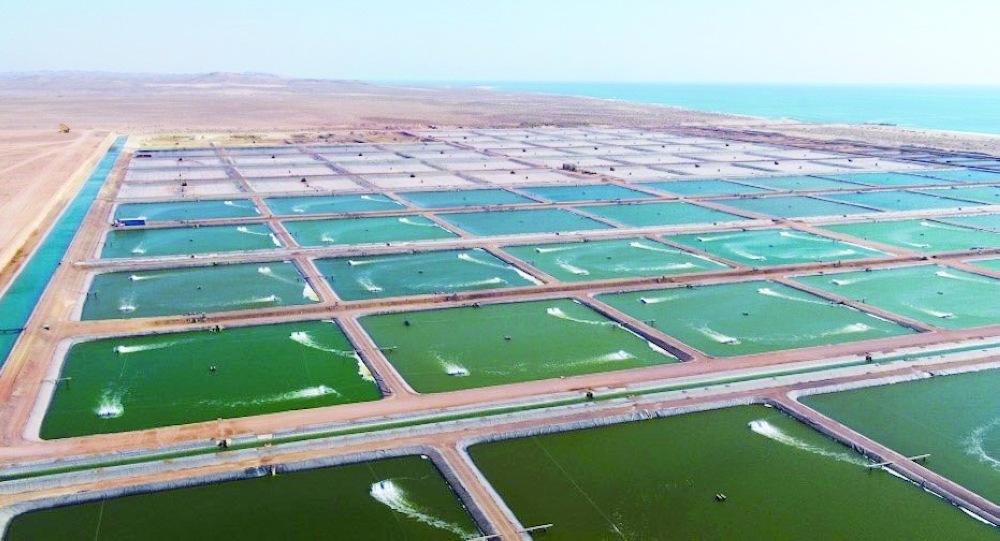 رئيس زنجبار يطلع على مراحل استزراع الروبيان بجعلان بني بوحسن