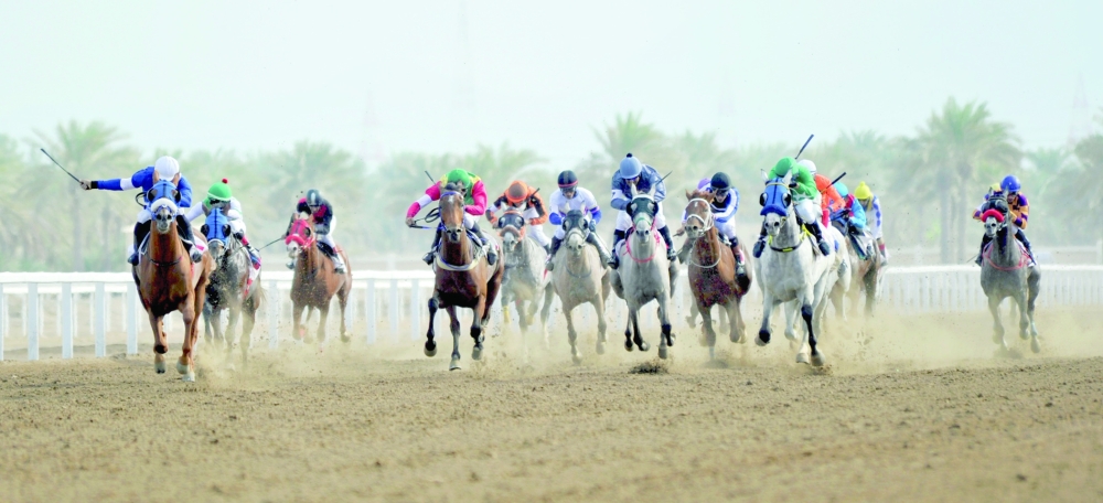 8 أشواط في انطلاق موسم سباقات الخيل الرحبة .. غداً