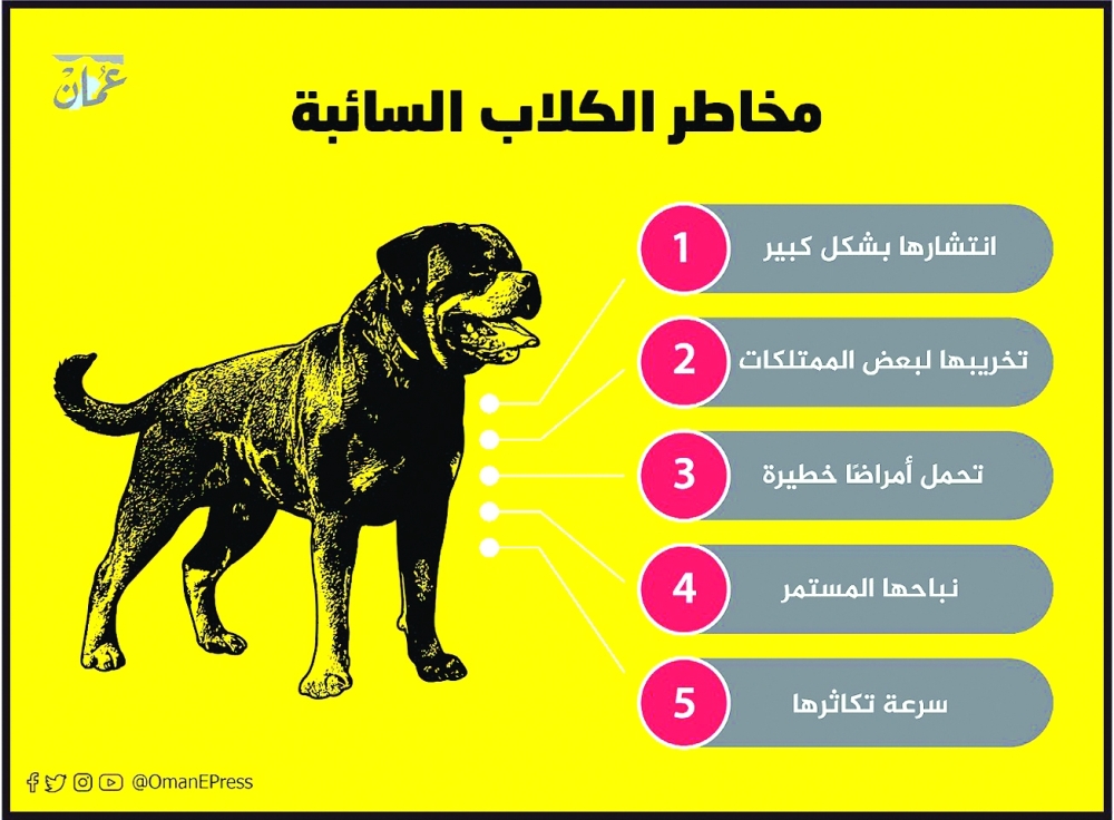 الكلاب المتشردة.. ظاهرة مستمرة تقلق الراحة العامة وتثير المخاوف !