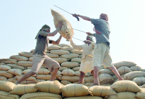 India rice export curbs to end decade of price stability