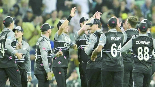 Clinical New Zealand thump holders Australia