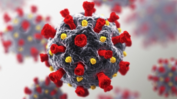 WHO keeping track of Covid XBB mutant