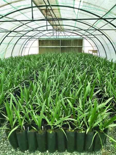 MoAFWR projects to boost food security