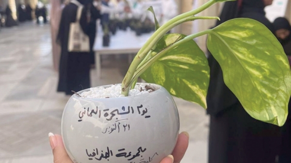 Celebrating trees as an important element in the nutritional system