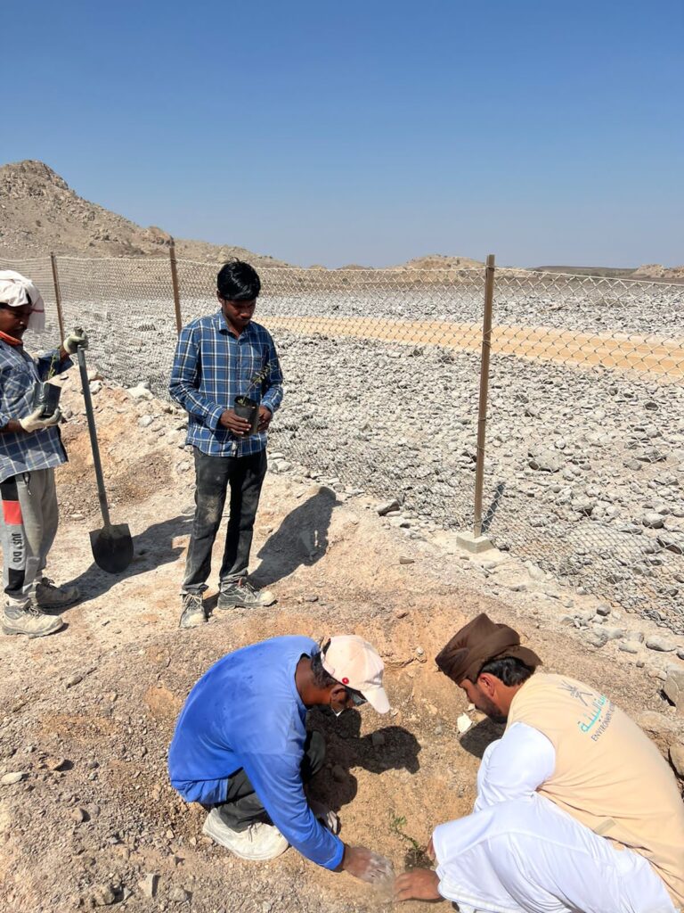 مركز البيئة بالسويق ينفذ حملة إستزراع بكسارة القليعة بالخابورة 2 CA0BF707 E446 43A4 A0F7 52F3F649BF8A