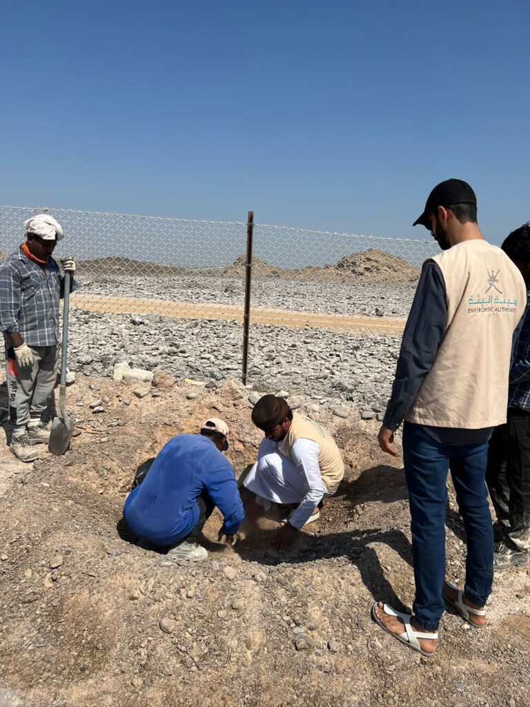 مركز البيئة بالسويق ينفذ حملة إستزراع بكسارة القليعة بالخابورة 3 F95E33F6 CF60 4D84 ABEB 85073C3A0561