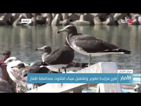 طرح مزايدة تطوير وتشغيل ميناء ضلكوت بمحافظة ظفار